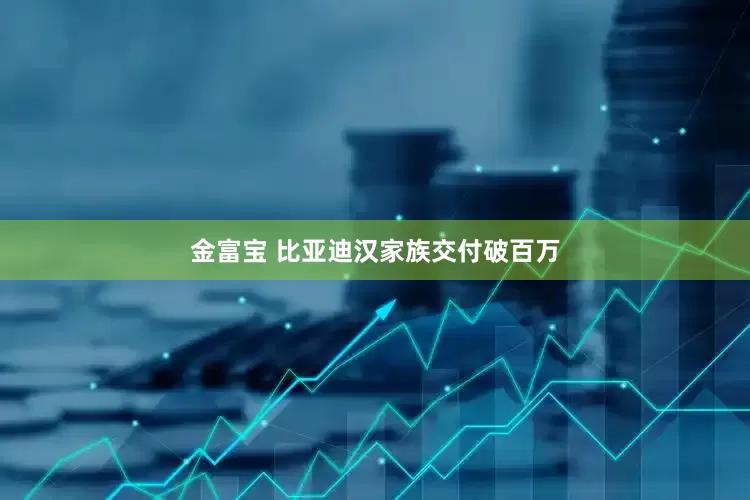 金富宝 比亚迪汉家族交付破百万