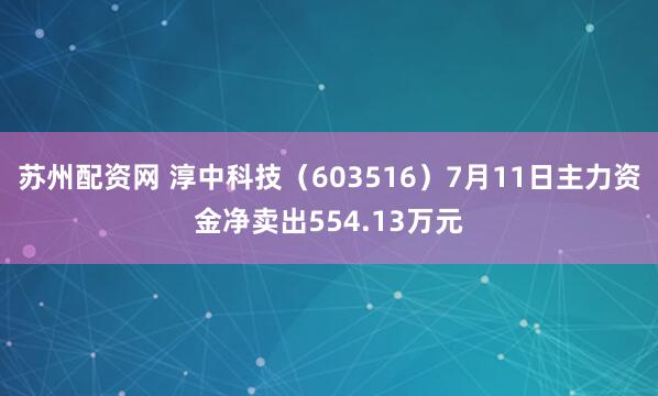 苏州配资网 淳中科技（603516）7月11日主力资金净卖出554.13万元