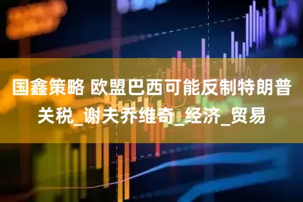 国鑫策略 欧盟巴西可能反制特朗普关税_谢夫乔维奇_经济_贸易