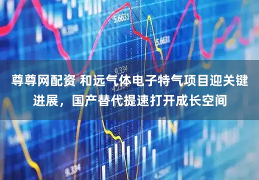 尊尊网配资 和远气体电子特气项目迎关键进展，国产替代提速打开成长空间