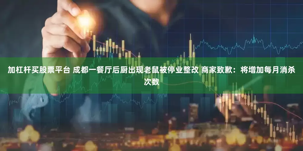 加杠杆买股票平台 成都一餐厅后厨出现老鼠被停业整改 商家致歉：将增加每月消杀次数